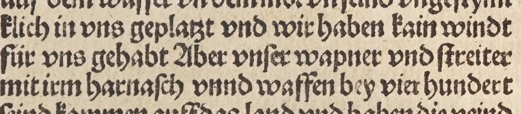 An illustration from Des allerdurchleichtigsten vnnd vnüberwindlichsten Fürsten vund Herzen , hern Friderichen des dritten Roemischen Kaysers, vnd frawen Leonora, Künigin auf Portugal, vermächelunng vñ Kroenung zc. : darnach des allerdurchleüchtigisten vnd grossmechtigisten Fürsten vñ Herzen, herzn Maximilian Roemischen Künigs zc. vnd seiner maiestat Schwester, Kunigund genant, hochloblich gerburd zc., 1503, leaf 61