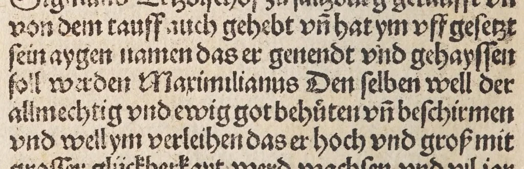 An illustration from Des allerdurchleichtigsten vnnd vnüberwindlichsten Fürsten vund Herzen , hern Friderichen des dritten Roemischen Kaysers, vnd frawen Leonora, Künigin auf Portugal, vermächelunng vñ Kroenung zc. : darnach des allerdurchleüchtigisten vnd grossmechtigisten Fürsten vñ Herzen, herzn Maximilian Roemischen Künigs zc. vnd seiner maiestat Schwester, Kunigund genant, hochloblich gerburd zc., 1503, leaf 94