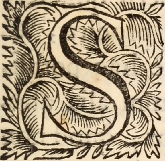 An illustration from De satisfactione Christi disputationes : cum Indicibus necessariis ; Adiectae sunt eiusdem duae disputationes; I. De circulo pontificio ; II. De concordia Iacobi & Pauli in articulo Iustificationis, 1696, leaf 10