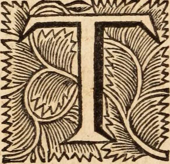 An illustration from De satisfactione Christi disputationes : cum Indicibus necessariis ; Adiectae sunt eiusdem duae disputationes; I. De circulo pontificio ; II. De concordia Iacobi & Pauli in articulo Iustificationis, 1696, leaf 125