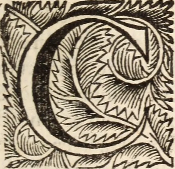 An illustration from De satisfactione Christi disputationes : cum Indicibus necessariis ; Adiectae sunt eiusdem duae disputationes; I. De circulo pontificio ; II. De concordia Iacobi & Pauli in articulo Iustificationis, 1696, leaf 204