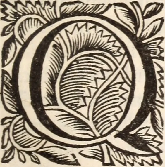 An illustration from De satisfactione Christi disputationes : cum Indicibus necessariis ; Adiectae sunt eiusdem duae disputationes; I. De circulo pontificio ; II. De concordia Iacobi & Pauli in articulo Iustificationis, 1696, leaf 224