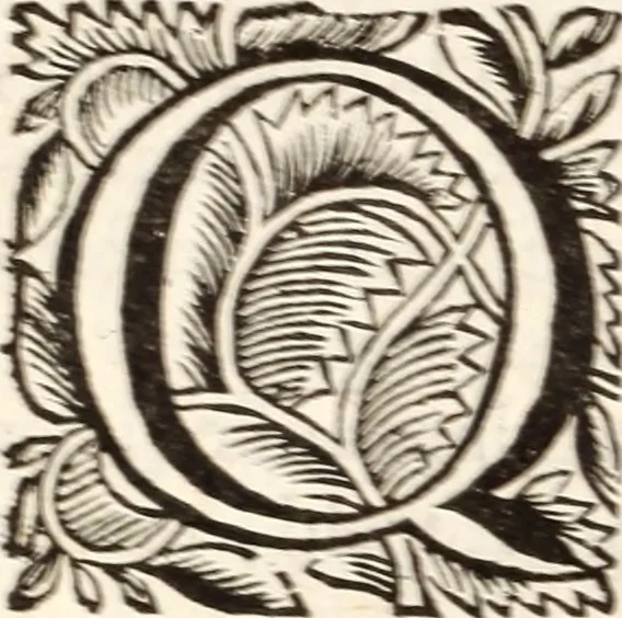 An illustration from De satisfactione Christi disputationes : cum Indicibus necessariis ; Adiectae sunt eiusdem duae disputationes; I. De circulo pontificio ; II. De concordia Iacobi & Pauli in articulo Iustificationis, 1696, leaf 291
