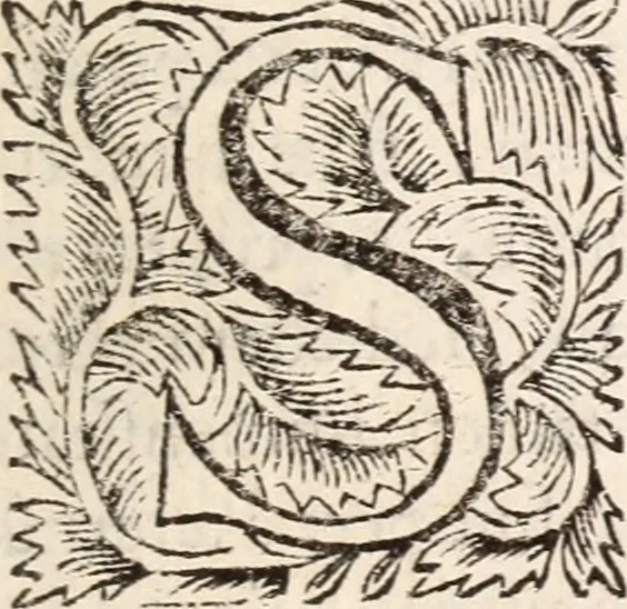 An illustration from De satisfactione Christi disputationes : cum Indicibus necessariis ; Adiectae sunt eiusdem duae disputationes; I. De circulo pontificio ; II. De concordia Iacobi & Pauli in articulo Iustificationis, 1696, leaf 310