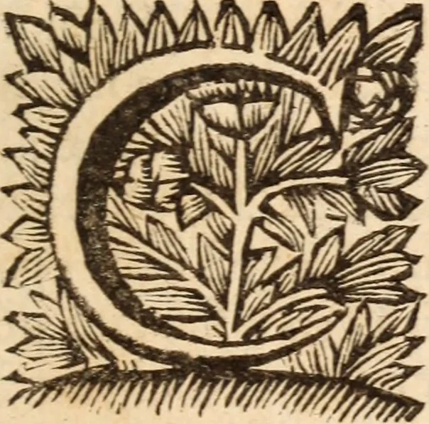 An illustration from De satisfactione Christi disputationes : cum Indicibus necessariis ; Adiectae sunt eiusdem duae disputationes; I. De circulo pontificio ; II. De concordia Iacobi & Pauli in articulo Iustificationis, 1696, leaf 32