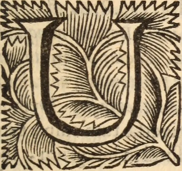 An illustration from De satisfactione Christi disputationes : cum Indicibus necessariis ; Adiectae sunt eiusdem duae disputationes; I. De circulo pontificio ; II. De concordia Iacobi & Pauli in articulo Iustificationis, 1696, leaf 336