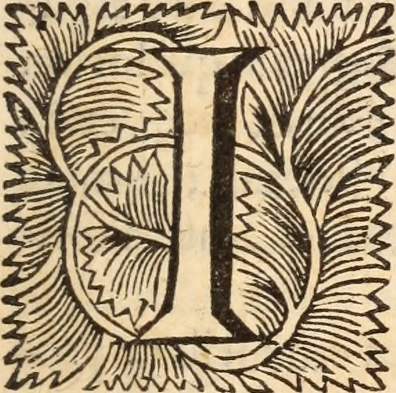 An illustration from De satisfactione Christi disputationes : cum Indicibus necessariis ; Adiectae sunt eiusdem duae disputationes; I. De circulo pontificio ; II. De concordia Iacobi & Pauli in articulo Iustificationis, 1696, leaf 384