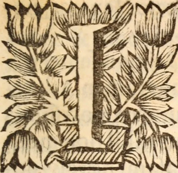 An illustration from De satisfactione Christi disputationes : cum Indicibus necessariis ; Adiectae sunt eiusdem duae disputationes; I. De circulo pontificio ; II. De concordia Iacobi & Pauli in articulo Iustificationis, 1696, leaf 434
