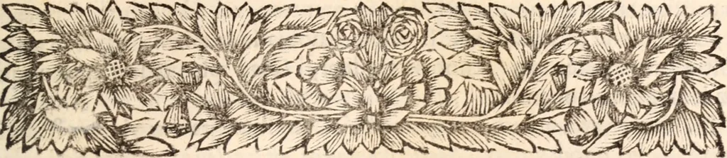 An illustration from De satisfactione Christi disputationes : cum Indicibus necessariis ; Adiectae sunt eiusdem duae disputationes; I. De circulo pontificio ; II. De concordia Iacobi & Pauli in articulo Iustificationis, 1696, leaf 440