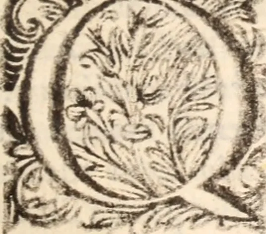 An illustration from De satisfactione Christi disputationes : cum Indicibus necessariis ; Adiectae sunt eiusdem duae disputationes; I. De circulo pontificio ; II. De concordia Iacobi & Pauli in articulo Iustificationis, 1696, leaf 440