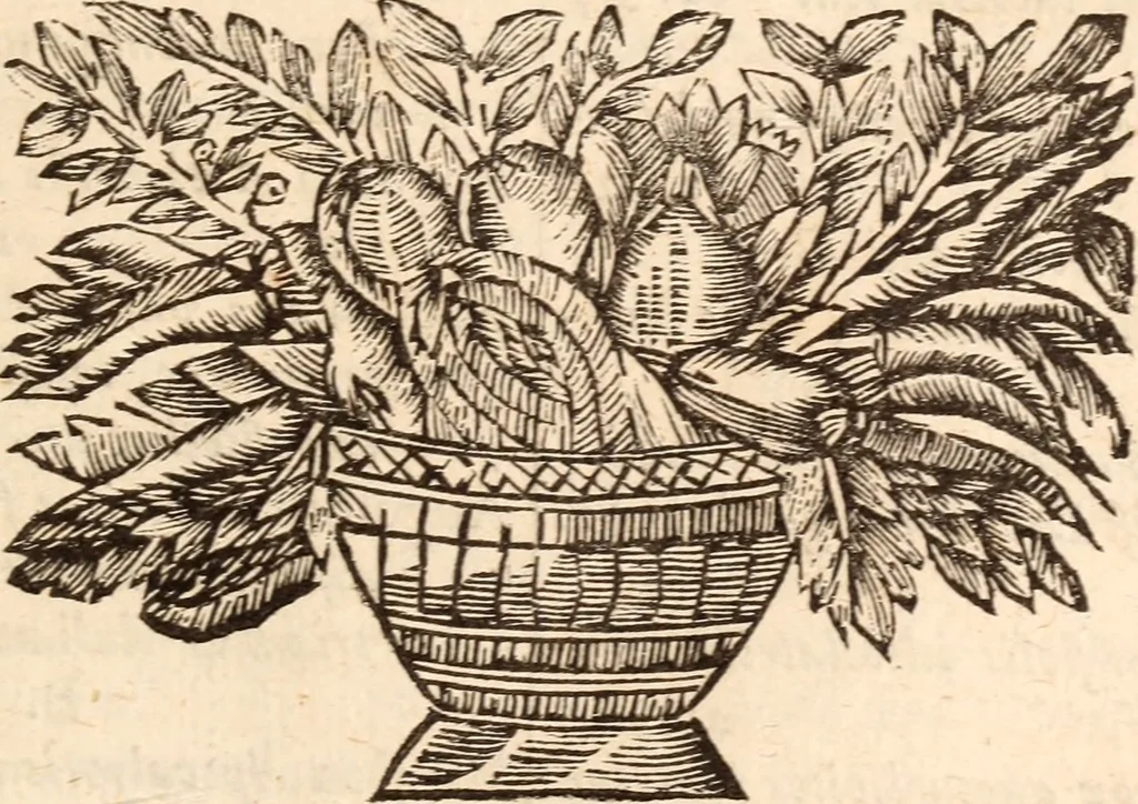 An illustration from De satisfactione Christi disputationes : cum Indicibus necessariis ; Adiectae sunt eiusdem duae disputationes; I. De circulo pontificio ; II. De concordia Iacobi & Pauli in articulo Iustificationis, 1696, leaf 682