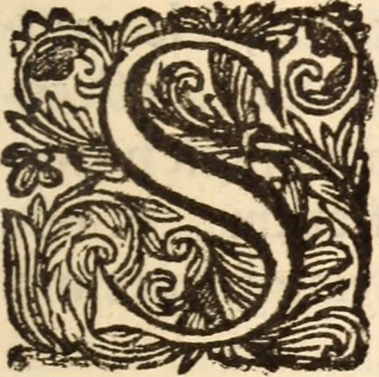 An illustration from De satisfactione Christi disputationes : cum Indicibus necessariis ; Adiectae sunt eiusdem duae disputationes; I. De circulo pontificio ; II. De concordia Iacobi & Pauli in articulo Iustificationis, 1696, leaf 694