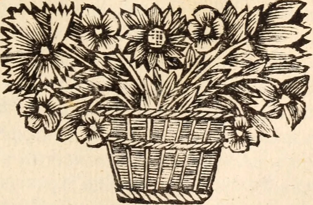 An illustration from De satisfactione Christi disputationes : cum Indicibus necessariis ; Adiectae sunt eiusdem duae disputationes; I. De circulo pontificio ; II. De concordia Iacobi & Pauli in articulo Iustificationis, 1696, leaf 696