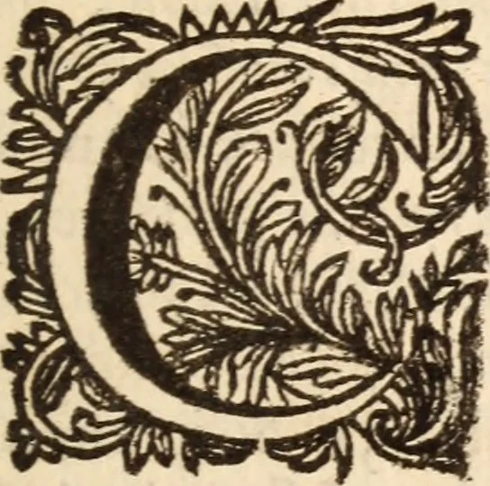 An illustration from De satisfactione Christi disputationes : cum Indicibus necessariis ; Adiectae sunt eiusdem duae disputationes; I. De circulo pontificio ; II. De concordia Iacobi & Pauli in articulo Iustificationis, 1696, leaf 698