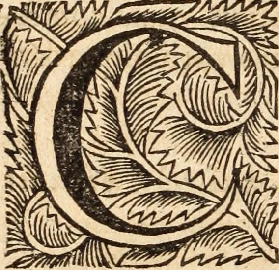 An illustration from De satisfactione Christi disputationes : cum Indicibus necessariis ; Adiectae sunt eiusdem duae disputationes; I. De circulo pontificio ; II. De concordia Iacobi & Pauli in articulo Iustificationis, 1696, leaf 91