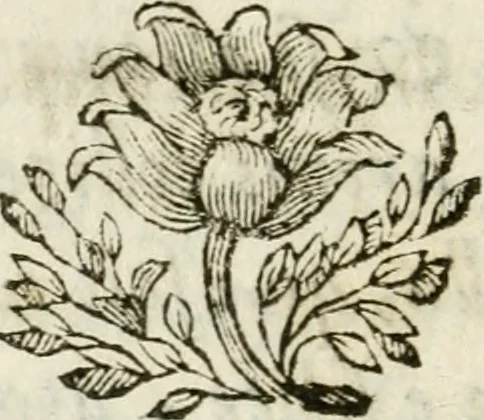 An illustration from De Scala Sancta ante Sancta Sanctorum in Laterano culta opusculum, 1672, leaf 17