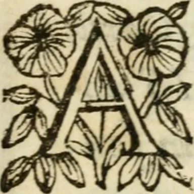 An illustration from De Scala Sancta ante Sancta Sanctorum in Laterano culta opusculum, 1672, leaf 176