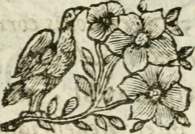 An illustration from De Scala Sancta ante Sancta Sanctorum in Laterano culta opusculum, 1672, leaf 232