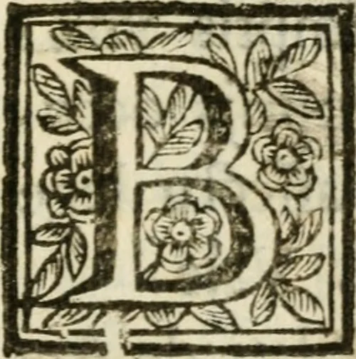 An illustration from De Scala Sancta ante Sancta Sanctorum in Laterano culta opusculum, 1672, leaf 234