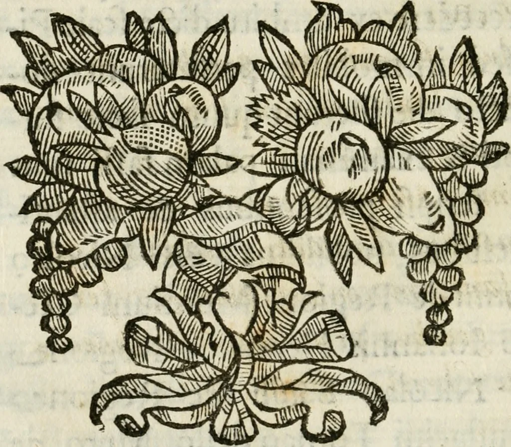 An illustration from De Scala Sancta ante Sancta Sanctorum in Laterano culta opusculum, 1672, leaf 249