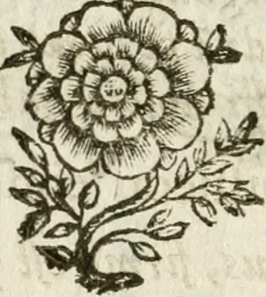 An illustration from De Scala Sancta ante Sancta Sanctorum in Laterano culta opusculum, 1672, leaf 29