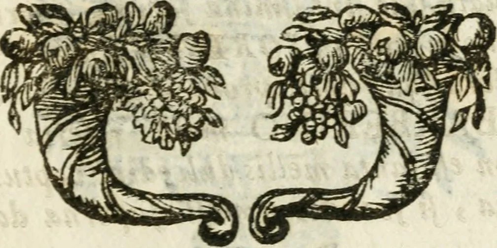 An illustration from De Scala Sancta ante Sancta Sanctorum in Laterano culta opusculum, 1672, leaf 32