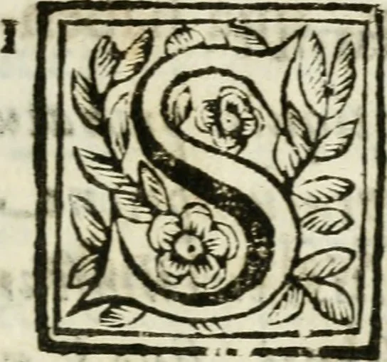 An illustration from De Scala Sancta ante Sancta Sanctorum in Laterano culta opusculum, 1672, leaf 36