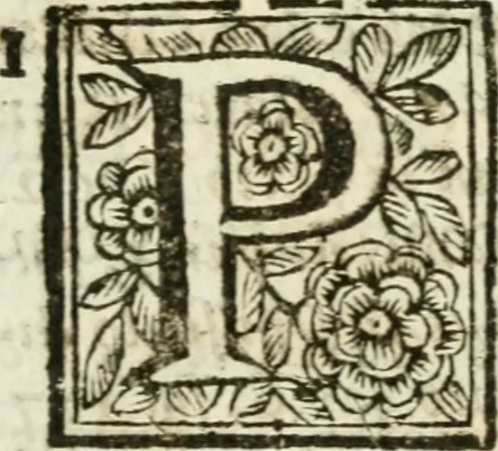 An illustration from De Scala Sancta ante Sancta Sanctorum in Laterano culta opusculum, 1672, leaf 78