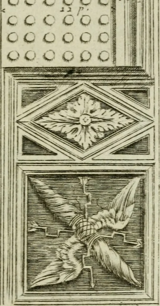 An illustration from Regles des cinq ordres d'architecture, 1665, leaf 76