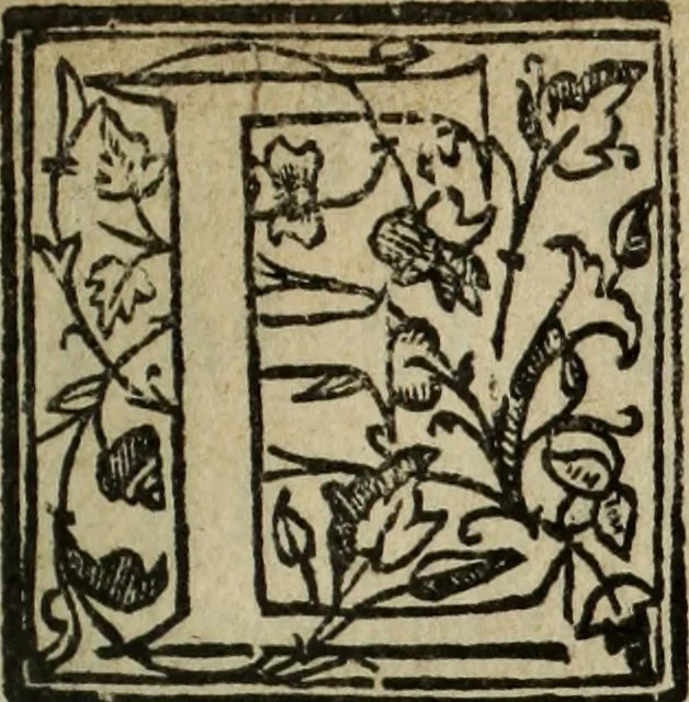 An illustration from Descriao do reino de Portugal, 1610, leaf 10