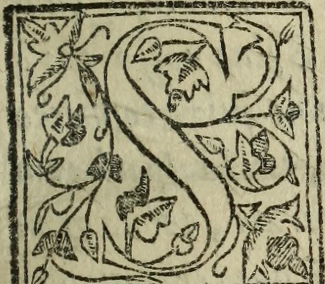 An illustration from Descriao do reino de Portugal, 1610, leaf 12