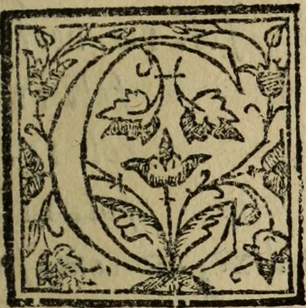 An illustration from Descriao do reino de Portugal, 1610, leaf 22