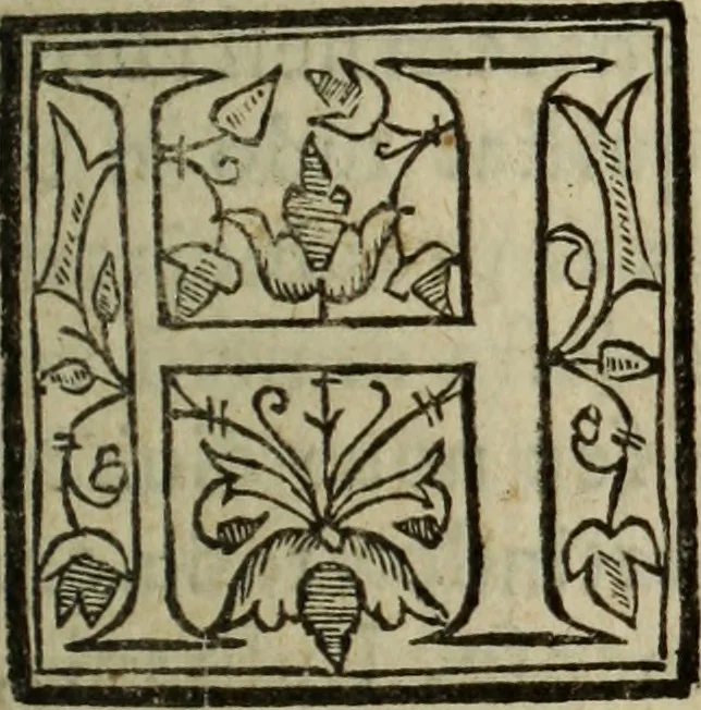 An illustration from Descriao do reino de Portugal, 1610, leaf 30