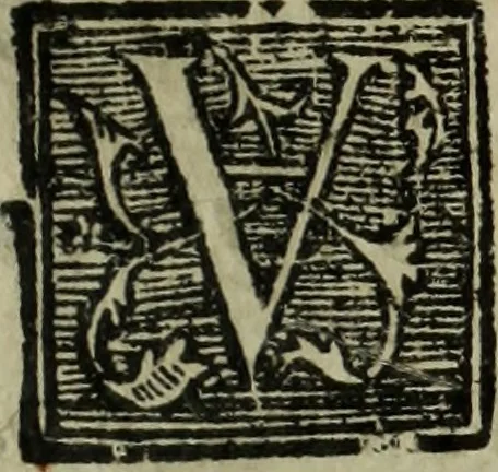 An illustration from Descriao do reino de Portugal, 1610, leaf 36