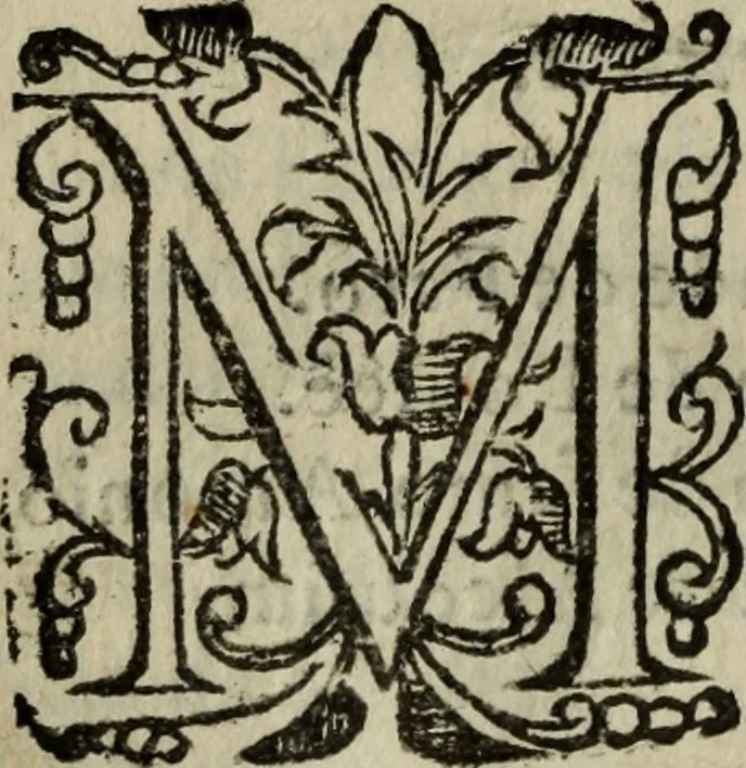 An illustration from Descriao do reino de Portugal, 1610, leaf 51