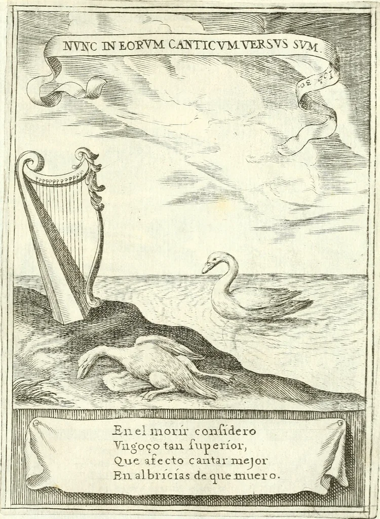 An illustration from Descripcion de las honras : que se hicieron ala Catholica Magd. de D. Phelippe quarto rey de las Españas y del nueuo mundo en el Real Conuento de la Encarnacion : que de horden de la reyna n[uest]ra señora como superintendente de las reales obras dispuso D. Baltasar Barroso de Ribera marques de Malpica ..., 1666, leaf 144