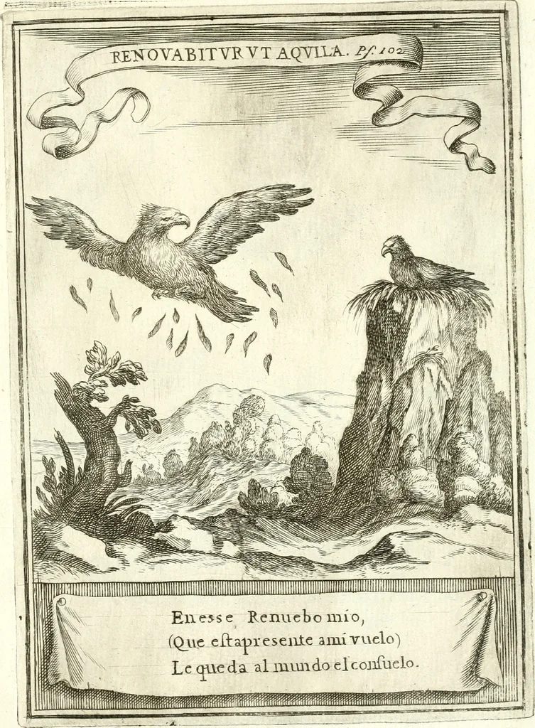 An illustration from Descripcion de las honras : que se hicieron ala Catholica Magd. de D. Phelippe quarto rey de las Españas y del nueuo mundo en el Real Conuento de la Encarnacion : que de horden de la reyna n[uest]ra señora como superintendente de las reales obras dispuso D. Baltasar Barroso de Ribera marques de Malpica ..., 1666, leaf 166