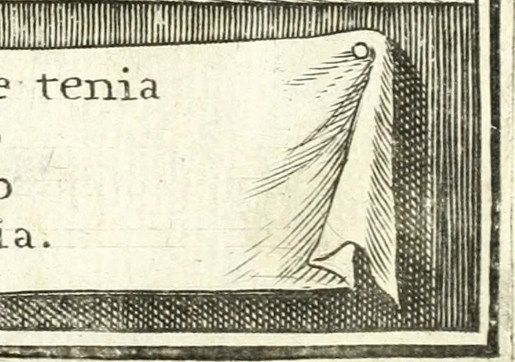 An illustration from Descripcion de las honras : que se hicieron ala Catholica Magd. de D. Phelippe quarto rey de las Españas y del nueuo mundo en el Real Conuento de la Encarnacion : que de horden de la reyna n[uest]ra señora como superintendente de las reales obras dispuso D. Baltasar Barroso de Ribera marques de Malpica ..., 1666, leaf 232