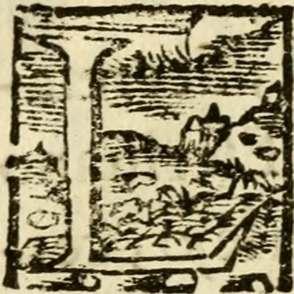 An illustration from Descripcion del Reyno de Galicia, y de las cosas notables del., 1675, leaf 11
