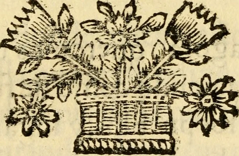 An illustration from Descripcion del Reyno de Galicia, y de las cosas notables del., 1675, leaf 92