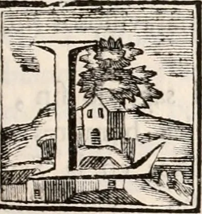 An illustration from Descripcion del real monasterio de San Lorenzo del Escorial : su magnifico templo, panteon, y palacio : compendiada de la descripcion antigua, y exornada con nuevas vistosas láminas de su planta y montéa : aumentada con la noticia de varias grandezas y alhajas con que han ilustrado los católicos reyes aquel maravilloso edificio, y coronada con un tratado apendice de los insignes profesores de las bellas artes estatuaria, arquitectura, y pintura, que concurrieron á su fundacion, y despues le han enriquecido con sus obras, 1764, leaf 26