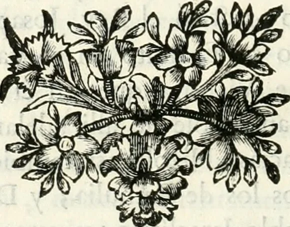 An illustration from Descripcion del real monasterio de San Lorenzo del Escorial : su magnifico templo, panteon, y palacio : compendiada de la descripcion antigua, y exornada con nuevas vistosas láminas de su planta y montéa : aumentada con la noticia de varias grandezas y alhajas con que han ilustrado los católicos reyes aquel maravilloso edificio, y coronada con un tratado apendice de los insignes profesores de las bellas artes estatuaria, arquitectura, y pintura, que concurrieron á su fundacion, y despues le han enriquecido con sus obras, 1764, leaf 31