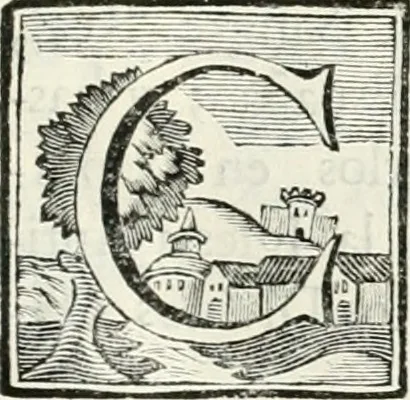 An illustration from Descripcion del real monasterio de San Lorenzo del Escorial : su magnifico templo, panteon, y palacio : compendiada de la descripcion antigua, y exornada con nuevas vistosas láminas de su planta y montéa : aumentada con la noticia de varias grandezas y alhajas con que han ilustrado los católicos reyes aquel maravilloso edificio, y coronada con un tratado apendice de los insignes profesores de las bellas artes estatuaria, arquitectura, y pintura, que concurrieron á su fundacion, y despues le han enriquecido con sus obras, 1764, leaf 364
