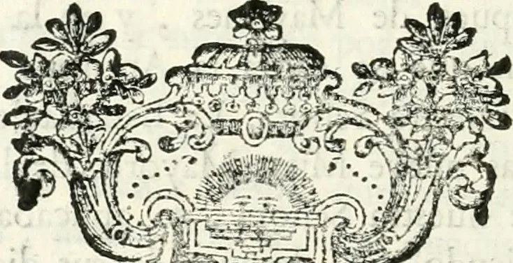 An illustration from Descripcion del real monasterio de San Lorenzo del Escorial : su magnifico templo, panteon, y palacio : compendiada de la descripcion antigua, y exornada con nuevas vistosas láminas de su planta y montéa : aumentada con la noticia de varias grandezas y alhajas con que han ilustrado los católicos reyes aquel maravilloso edificio, y coronada con un tratado apendice de los insignes profesores de las bellas artes estatuaria, arquitectura, y pintura, que concurrieron á su fundacion, y despues le han enriquecido con sus obras, 1764, leaf 435