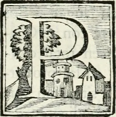 An illustration from Descripcion del real monasterio de San Lorenzo del Escorial : su magnifico templo, panteon, y palacio : compendiada de la descripcion antigua, y exornada con nuevas vistosas láminas de su planta y montéa : aumentada con la noticia de varias grandezas y alhajas con que han ilustrado los católicos reyes aquel maravilloso edificio, y coronada con un tratado apendice de los insignes profesores de las bellas artes estatuaria, arquitectura, y pintura, que concurrieron á su fundacion, y despues le han enriquecido con sus obras, 1764, leaf 54