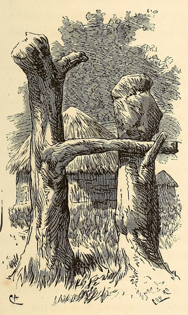 An illustration from Descripção da viagem á Mussumba do Muatiãnvua, 1890, leaf 293