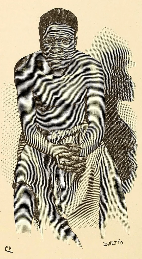 An illustration from Descripção da viagem á Mussumba do Muatiãnvua, 1890, leaf 532