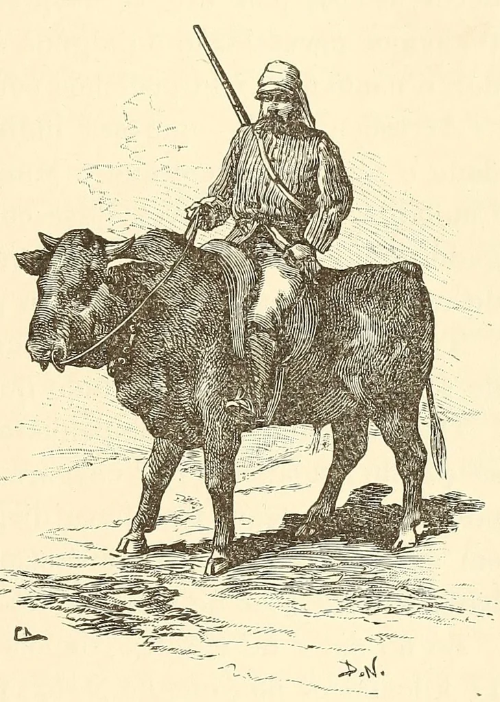 An illustration from Descripção da viagem á Mussumba do Muatiãnvua, 1890, leaf 705