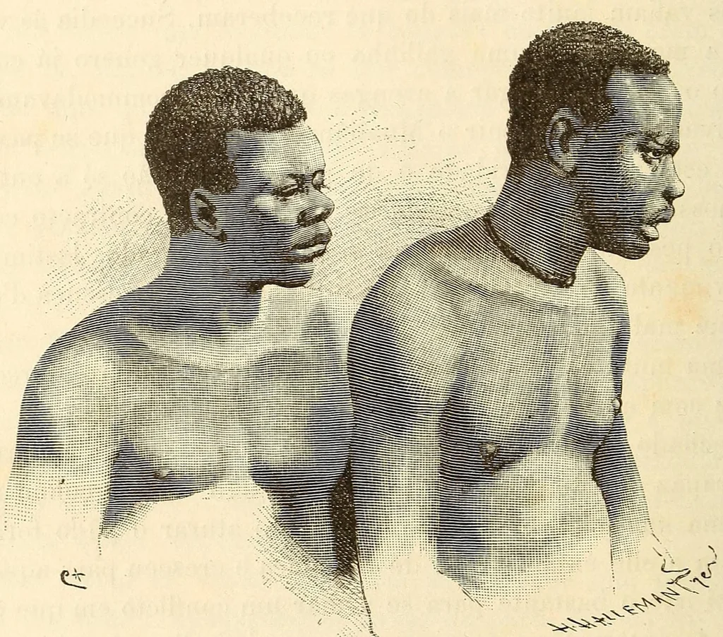 An illustration from Descripção da viagem á Mussumba do Muatiãnvua, 1890, leaf 824