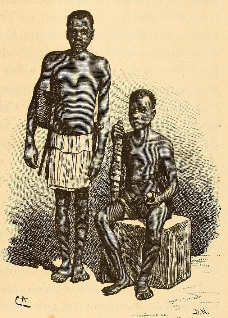An illustration from Descripção da viagem á Mussumba do Muatiãnvua, 1890, leaf 907